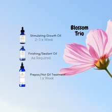 Load image into Gallery viewer, Blossom Growth Set